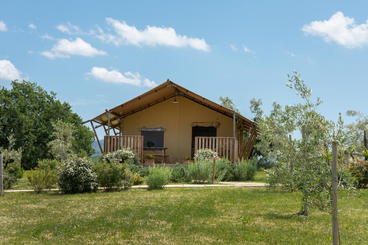 Agriturismo L'Antica Fornace Peccioli Exteriér fotografie