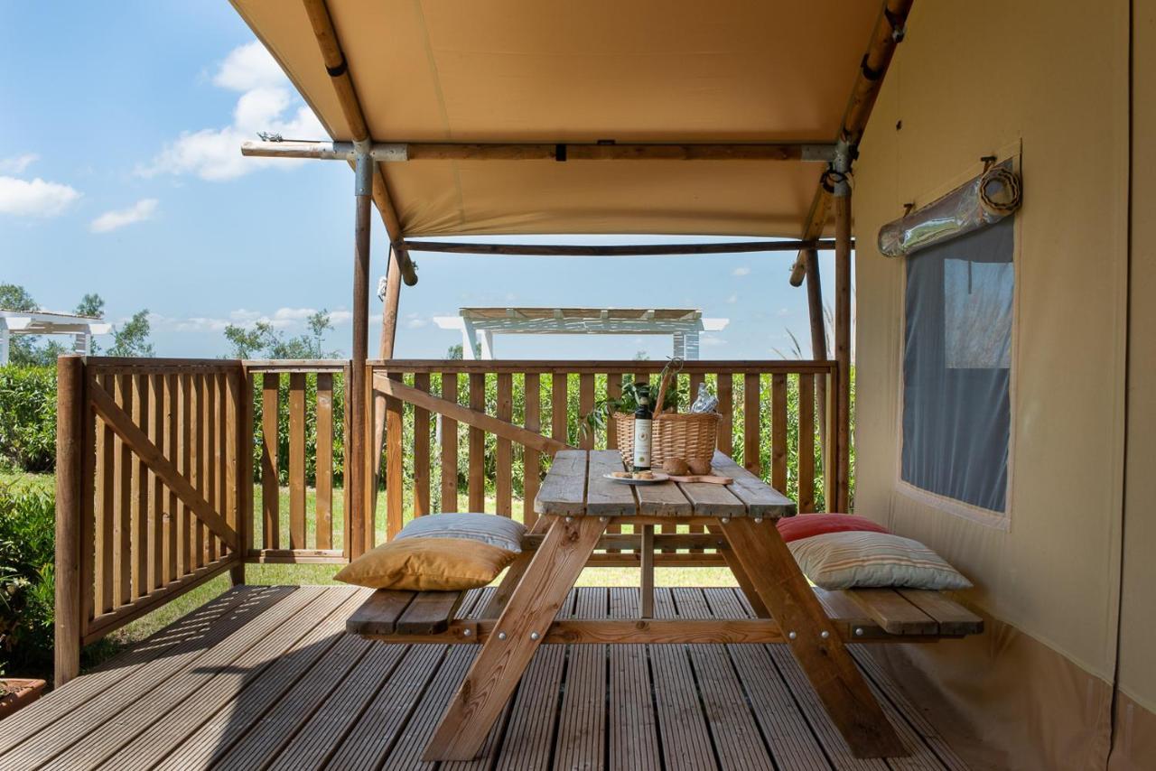 Agriturismo L'Antica Fornace Peccioli Exteriér fotografie