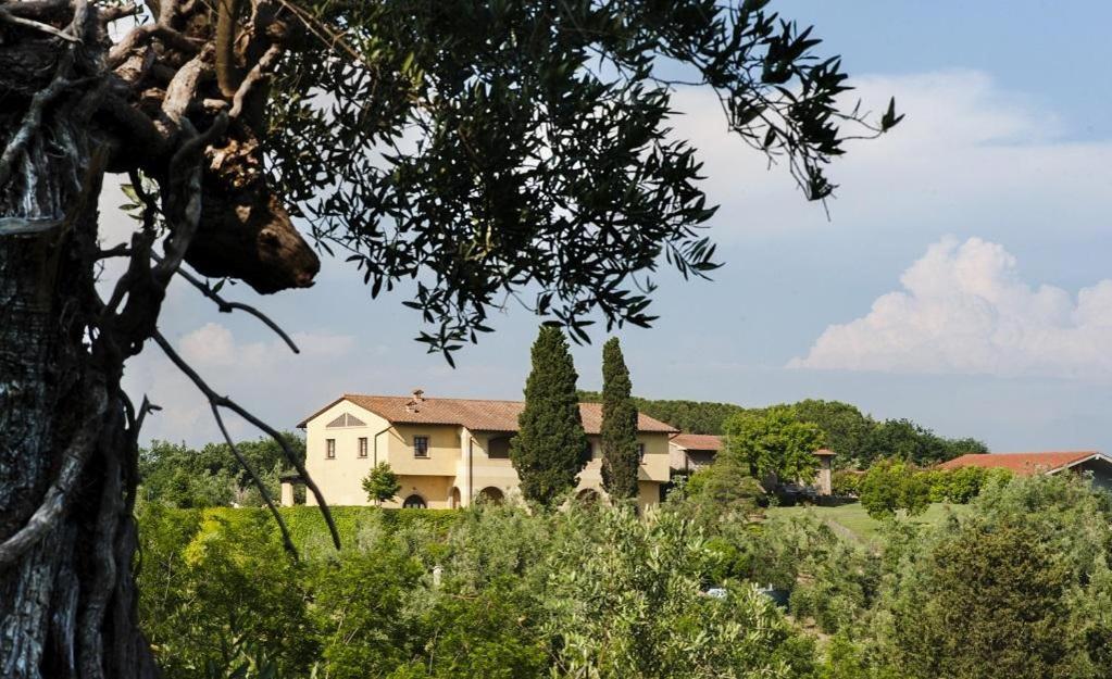 Agriturismo L'Antica Fornace Peccioli Exteriér fotografie